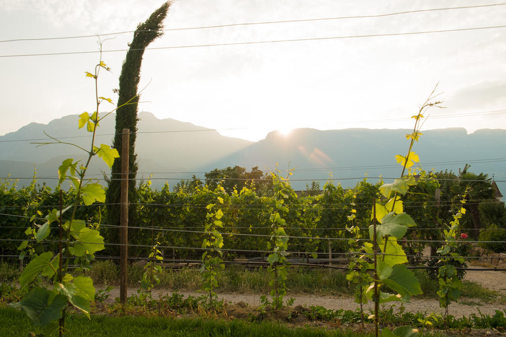 Ferienwohnung Pippohof Appiano Sulla Strada Del Vino Ruang foto